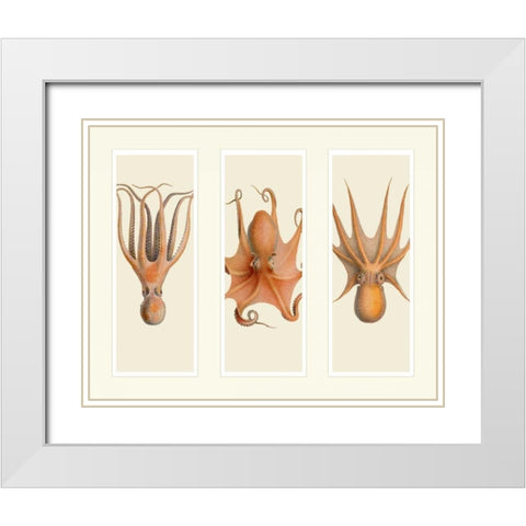 Trio of Octopus on 3 Panels White Modern Wood Framed Art Print with Double Matting by Fab Funky