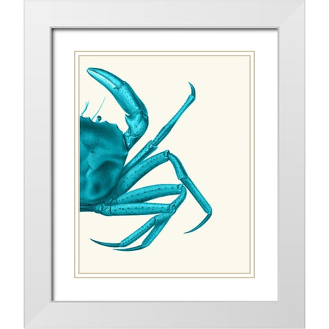 Contrasting Crab in Turquoise a White Modern Wood Framed Art Print with Double Matting by Fab Funky