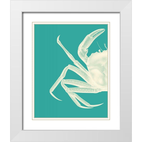 Contrasting Crab in Turquoise b White Modern Wood Framed Art Print with Double Matting by Fab Funky