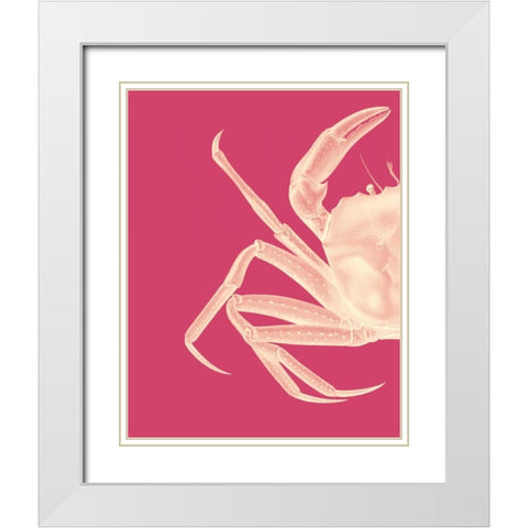 Contrasting Crab in Pink a White Modern Wood Framed Art Print with Double Matting by Fab Funky