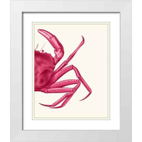 Contrasting Crab in Pink b White Modern Wood Framed Art Print with Double Matting by Fab Funky