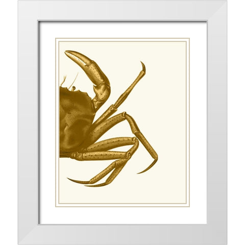 Contrasting Crab in Mustard b White Modern Wood Framed Art Print with Double Matting by Fab Funky