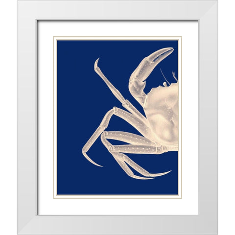 Contrasting Crab in Navy Blue a White Modern Wood Framed Art Print with Double Matting by Fab Funky