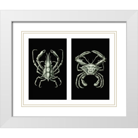 Crabs On Black in 2 panels White Modern Wood Framed Art Print with Double Matting by Fab Funky