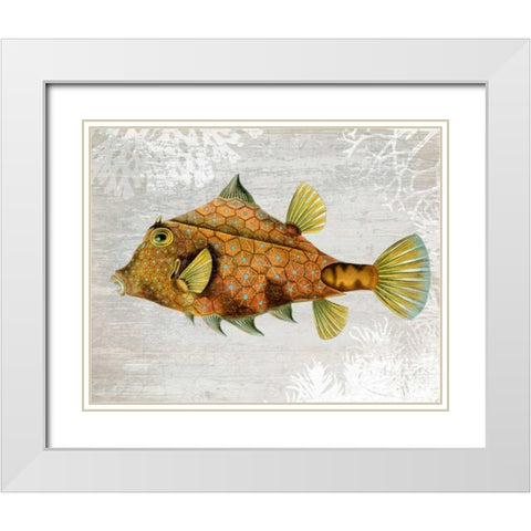 Gold Turret Fish White Modern Wood Framed Art Print with Double Matting by Fab Funky
