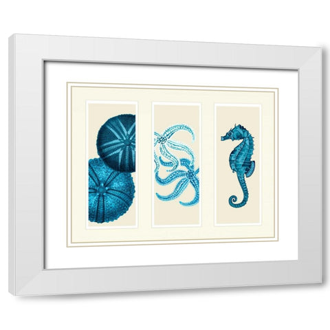 Three Panel Print Sea Urchin Starfish and Seahorse in Blue White Modern Wood Framed Art Print with Double Matting by Fab Funky