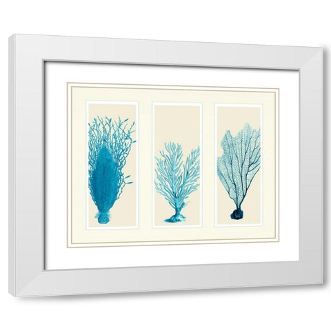 Blue Corals on 3 Panels White Modern Wood Framed Art Print with Double Matting by Fab Funky