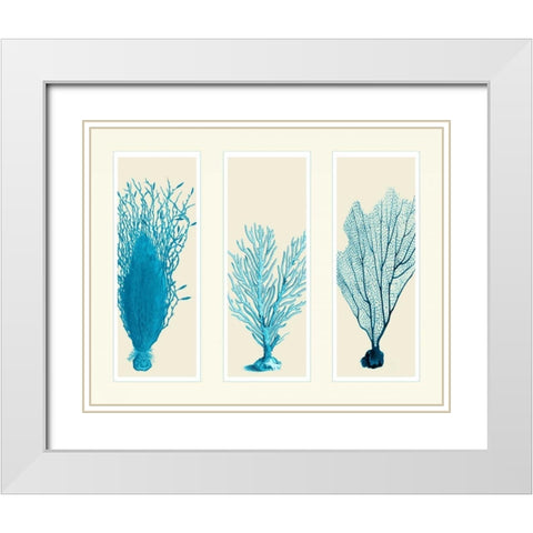 Blue Corals on 3 Panels White Modern Wood Framed Art Print with Double Matting by Fab Funky