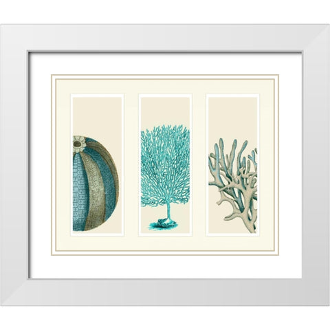 Blue Corals and Sea Urchins in 3 Panels White Modern Wood Framed Art Print with Double Matting by Fab Funky