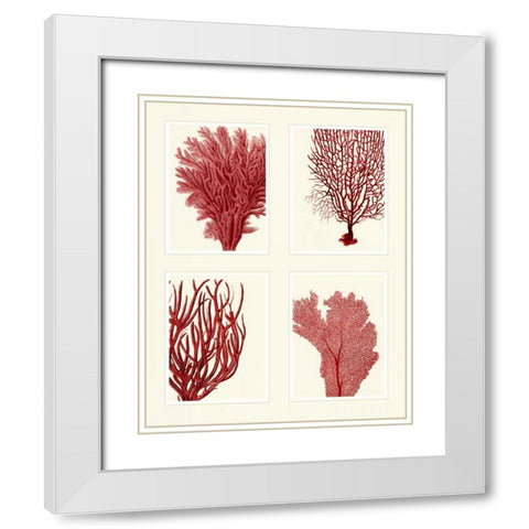 Red Coral Print on 4 Panels White Modern Wood Framed Art Print with Double Matting by Fab Funky