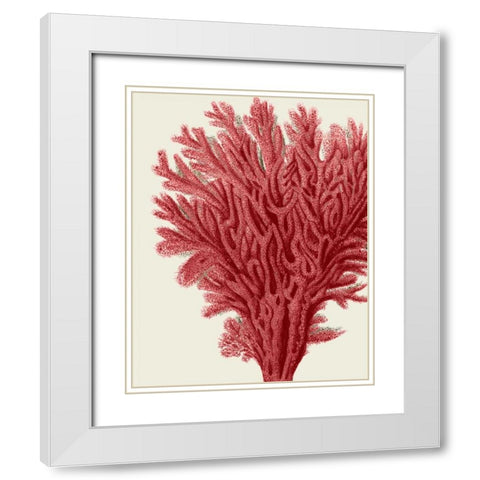 Red Corals 2 a White Modern Wood Framed Art Print with Double Matting by Fab Funky