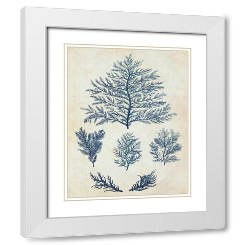 Indigo Blue Seaweed 1 c White Modern Wood Framed Art Print with Double Matting by Fab Funky