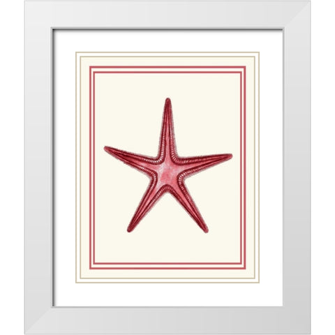 Mixed Nautical Coral on Cream a White Modern Wood Framed Art Print with Double Matting by Fab Funky