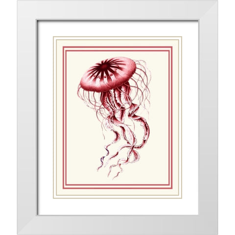 Mixed Nautical Coral on Cream e White Modern Wood Framed Art Print with Double Matting by Fab Funky