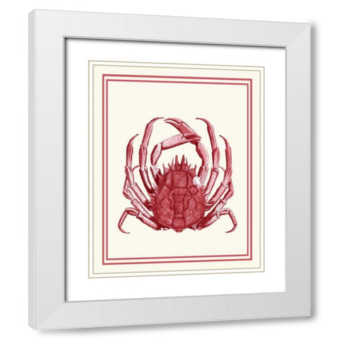 Mixed Nautical Coral on Cream f White Modern Wood Framed Art Print with Double Matting by Fab Funky