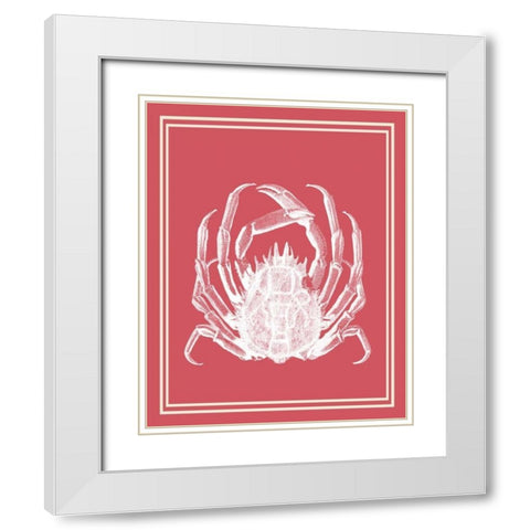 Mixed Nautical White on Coral a White Modern Wood Framed Art Print with Double Matting by Fab Funky