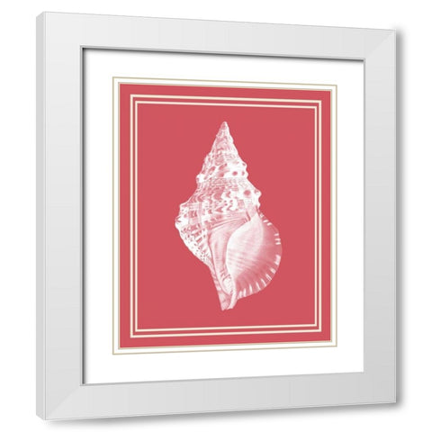 Mixed Nautical White on Coral d White Modern Wood Framed Art Print with Double Matting by Fab Funky