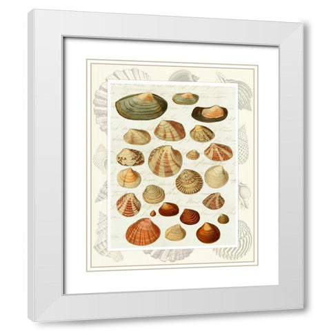 Shells on Vintage Script White Modern Wood Framed Art Print with Double Matting by Fab Funky