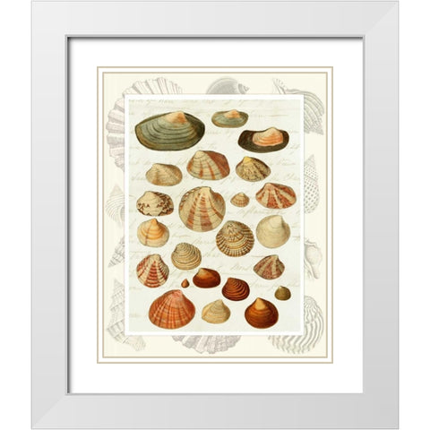 Shells on Vintage Script White Modern Wood Framed Art Print with Double Matting by Fab Funky