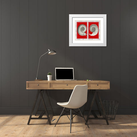 Nautilus Shells On Red White Modern Wood Framed Art Print with Double Matting by Fab Funky