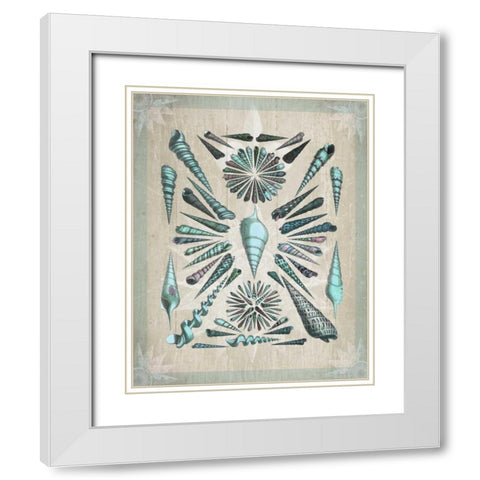 Shell Collection 5 White Modern Wood Framed Art Print with Double Matting by Fab Funky