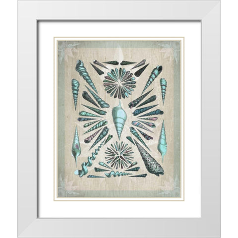 Shell Collection 5 White Modern Wood Framed Art Print with Double Matting by Fab Funky