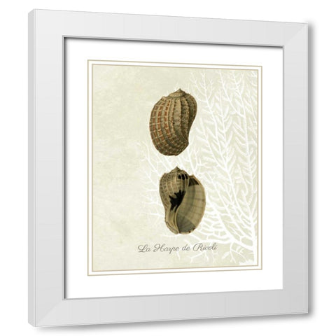 French Shell Print c White Modern Wood Framed Art Print with Double Matting by Fab Funky