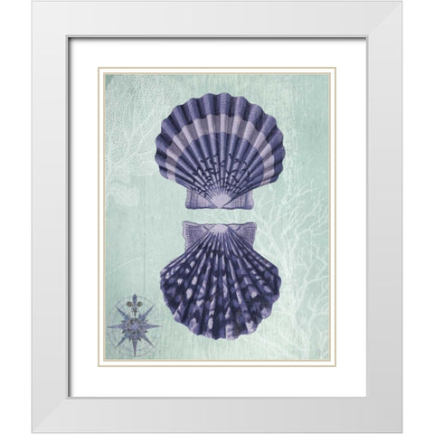 Seashell Collection 2 a White Modern Wood Framed Art Print with Double Matting by Fab Funky