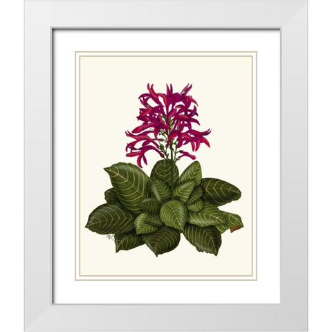 Tropical Flower 1 White Modern Wood Framed Art Print with Double Matting by Fab Funky