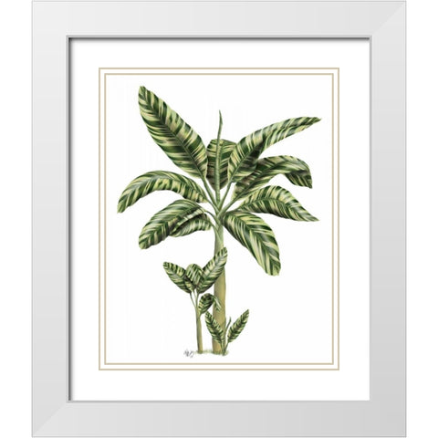 Banana Tree 2 White Modern Wood Framed Art Print with Double Matting by Fab Funky