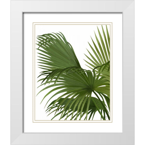 Fan Palm 2, Green on White White Modern Wood Framed Art Print with Double Matting by Fab Funky