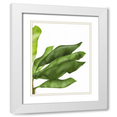 Banana Leaves 1, Green on White White Modern Wood Framed Art Print with Double Matting by Fab Funky