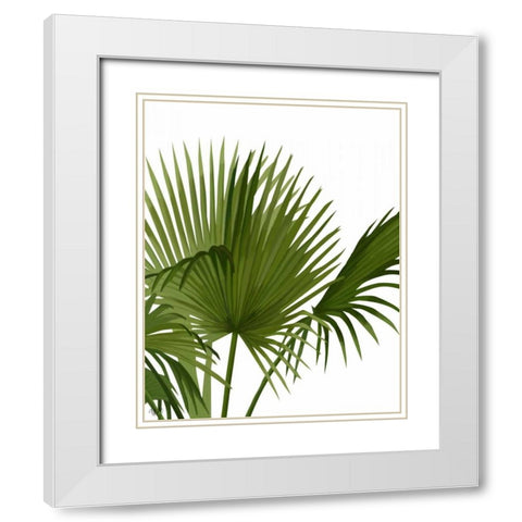 Fan Palm 1, Green on White White Modern Wood Framed Art Print with Double Matting by Fab Funky