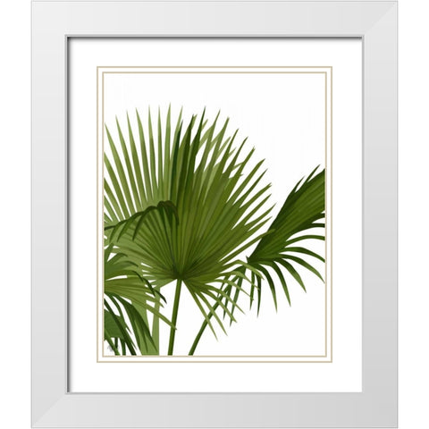Fan Palm 1, Green on White White Modern Wood Framed Art Print with Double Matting by Fab Funky