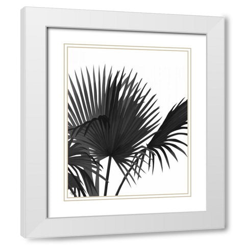 Fan Palm 1, Black On White White Modern Wood Framed Art Print with Double Matting by Fab Funky