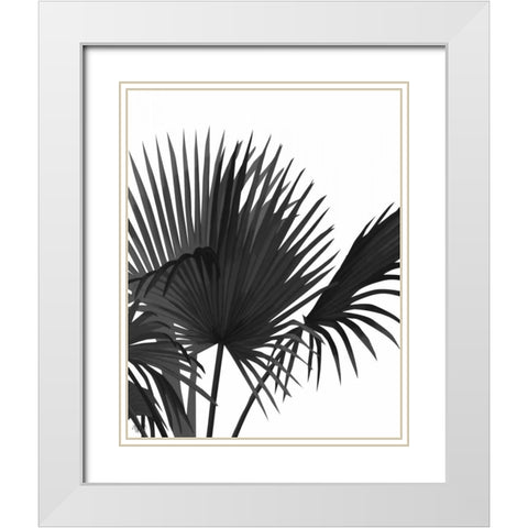 Fan Palm 1, Black On White White Modern Wood Framed Art Print with Double Matting by Fab Funky
