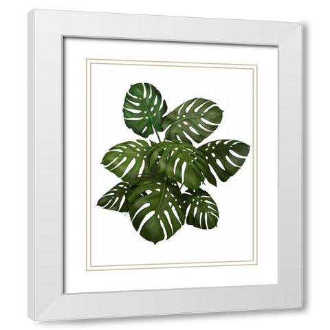 Monstera Plant, Green on White White Modern Wood Framed Art Print with Double Matting by Fab Funky