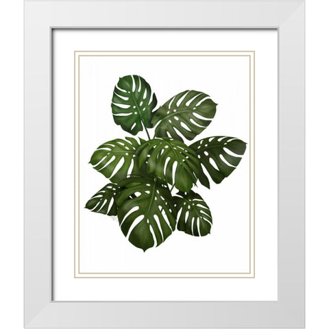 Monstera Plant, Green on White White Modern Wood Framed Art Print with Double Matting by Fab Funky