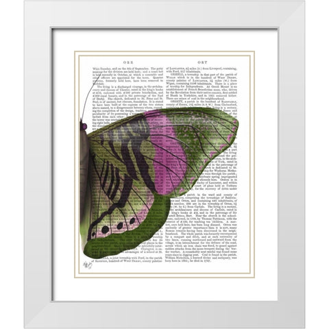 Butterfly in Green and Pink b White Modern Wood Framed Art Print with Double Matting by Fab Funky