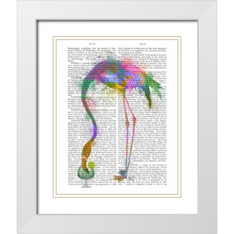 Rainbow Splash Flamingo 3 White Modern Wood Framed Art Print with Double Matting by Fab Funky