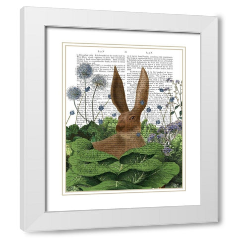 Cabbage Patch Rabbit 5 White Modern Wood Framed Art Print with Double Matting by Fab Funky