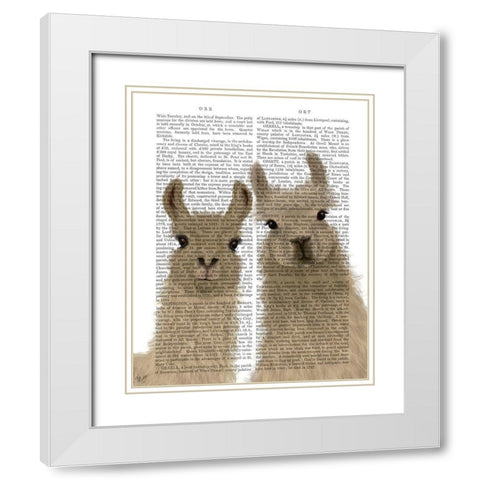 Llama Duo, Looking at You Book Print White Modern Wood Framed Art Print with Double Matting by Fab Funky