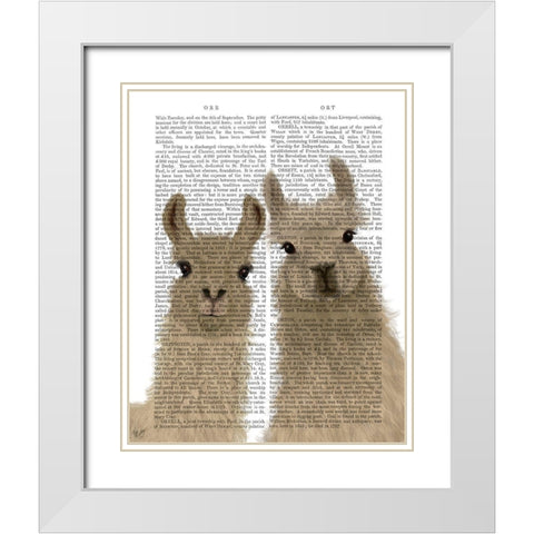 Llama Duo, Looking at You Book Print White Modern Wood Framed Art Print with Double Matting by Fab Funky