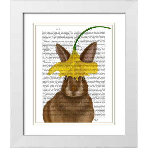 Daffodil Rabbit Book Print White Modern Wood Framed Art Print with Double Matting by Fab Funky