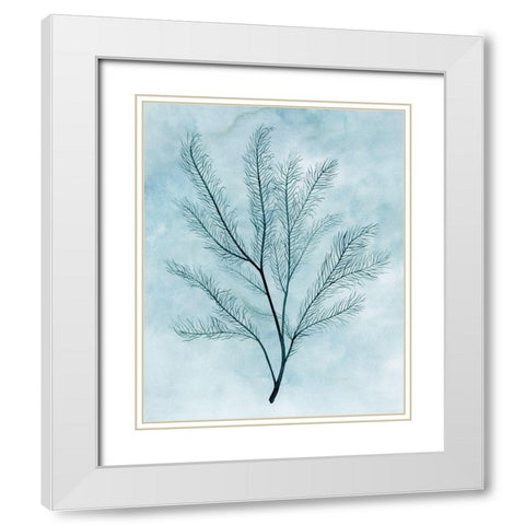 Clouds and Coral I White Modern Wood Framed Art Print with Double Matting by Popp, Grace