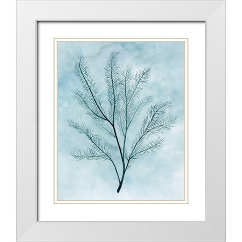 Clouds and Coral I White Modern Wood Framed Art Print with Double Matting by Popp, Grace