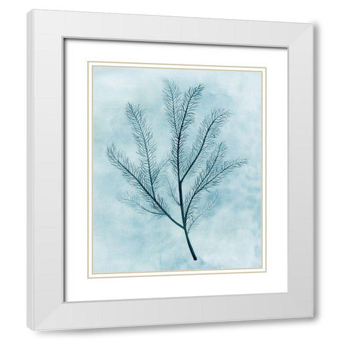 Clouds and Coral II White Modern Wood Framed Art Print with Double Matting by Popp, Grace