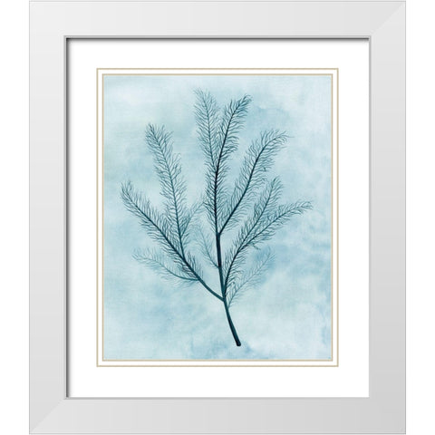 Clouds and Coral II White Modern Wood Framed Art Print with Double Matting by Popp, Grace