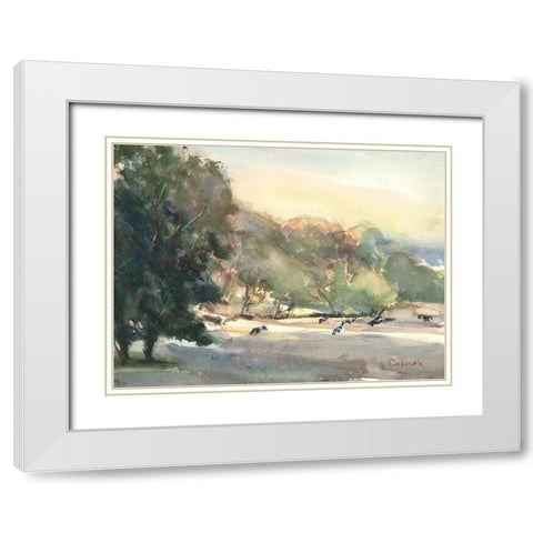 Sunlit Pasture I White Modern Wood Framed Art Print with Double Matting by Calcasola, Stephen