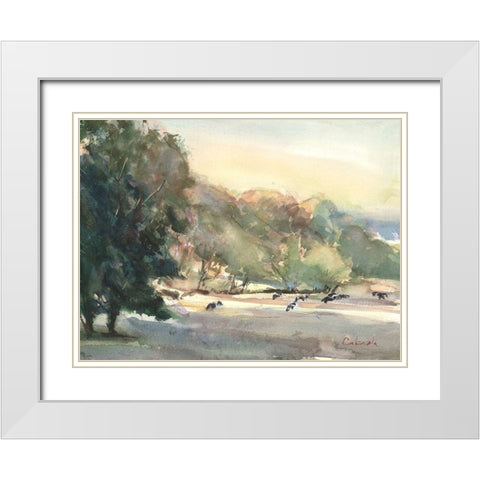 Sunlit Pasture I White Modern Wood Framed Art Print with Double Matting by Calcasola, Stephen